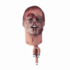 Simulador de Cabeça de Trauma ALS – Somente Cabeça