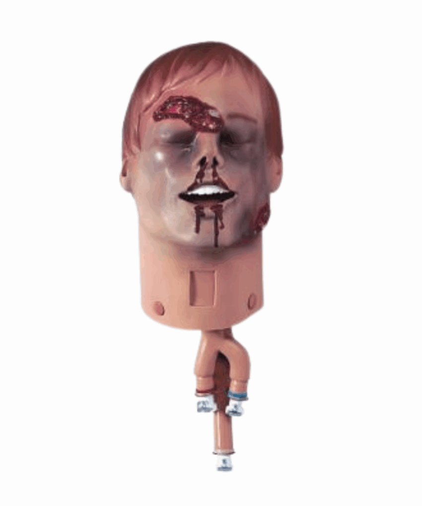 Simulador de Cabeça de Trauma ALS – Somente Cabeça