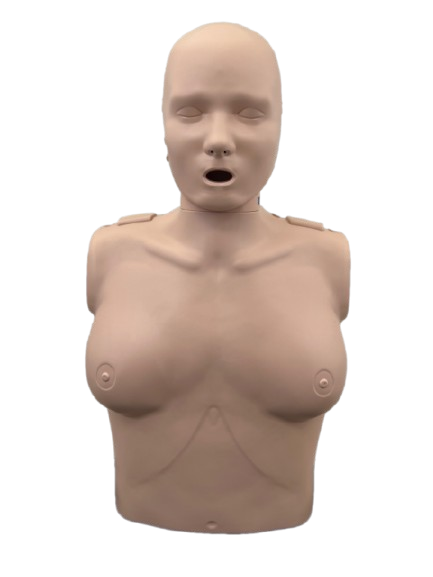 Alternative view of Professional Female Manikin