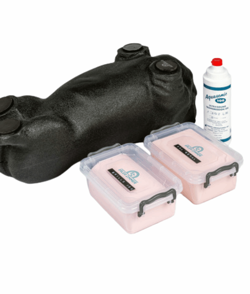 Kit de Treinamento em Ultrassom Canino “Lillie”