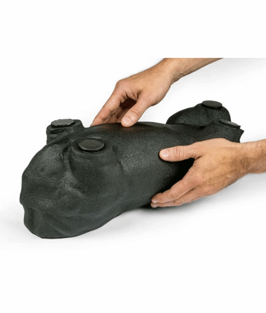 Alternative view of Kit de Treinamento em Ultrassom Canino “Lillie”