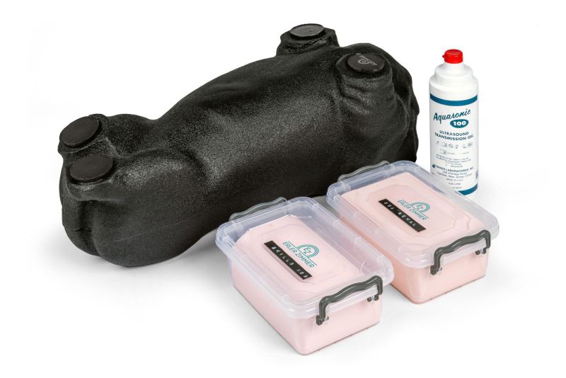 Kit de Treinamento em Ultrassom Canino “Lillie”