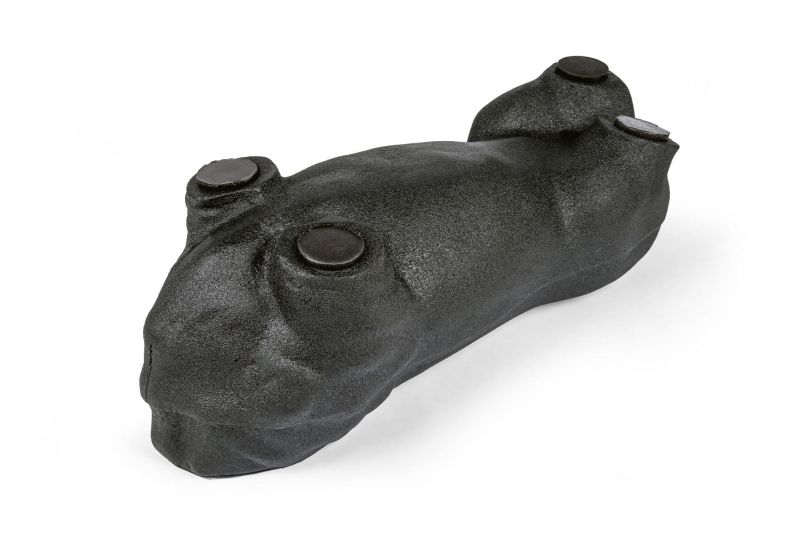 Alternative view of Kit de Treinamento em Ultrassom Canino “Lillie”