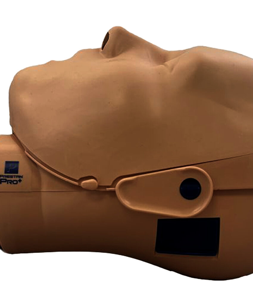 Alternative view of NEW PRO+ Adult Manikin - Manequim Adulto Avançado (pele escura)