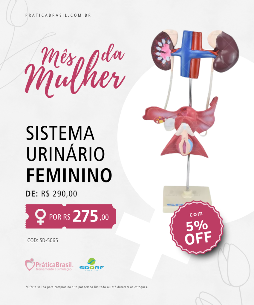 Sistema Urinário Feminino - Sdorf Scientific®