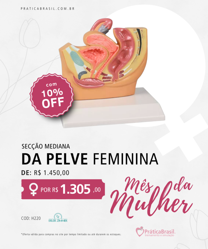 Modelo de Secção Mediana da Pelve Feminina – Tamanho Reduzido